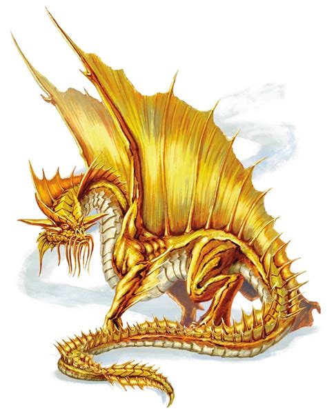 Golden Dragon 5 brabet